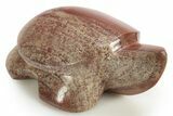 Polished Picture Stone Turtle - Arizona #329331-1